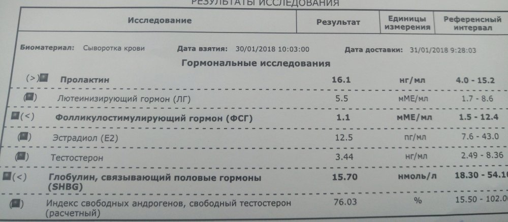 P80201-113108(1).jpg